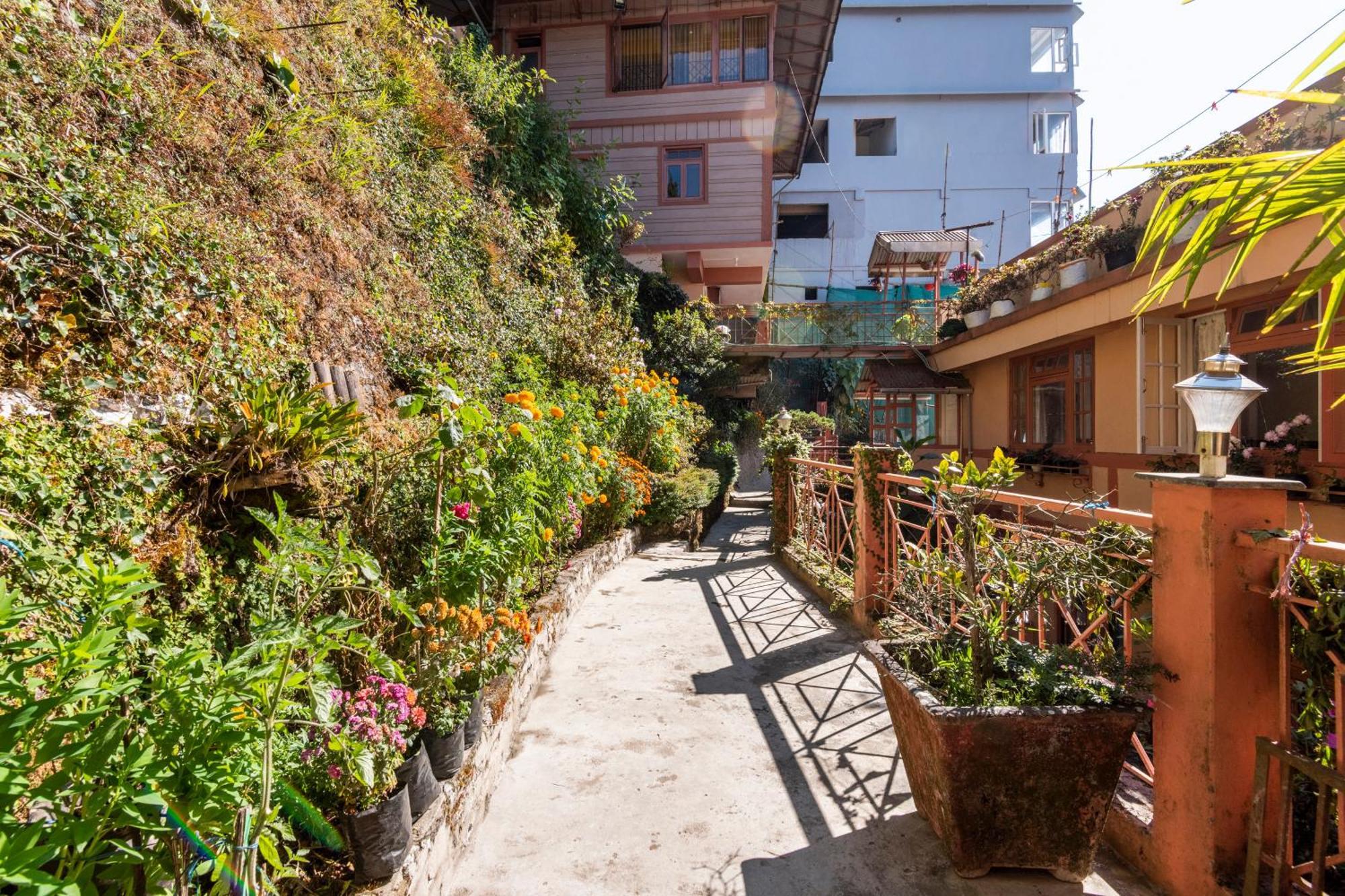 Little Singamari Home Stay Darjeeling  Extérieur photo