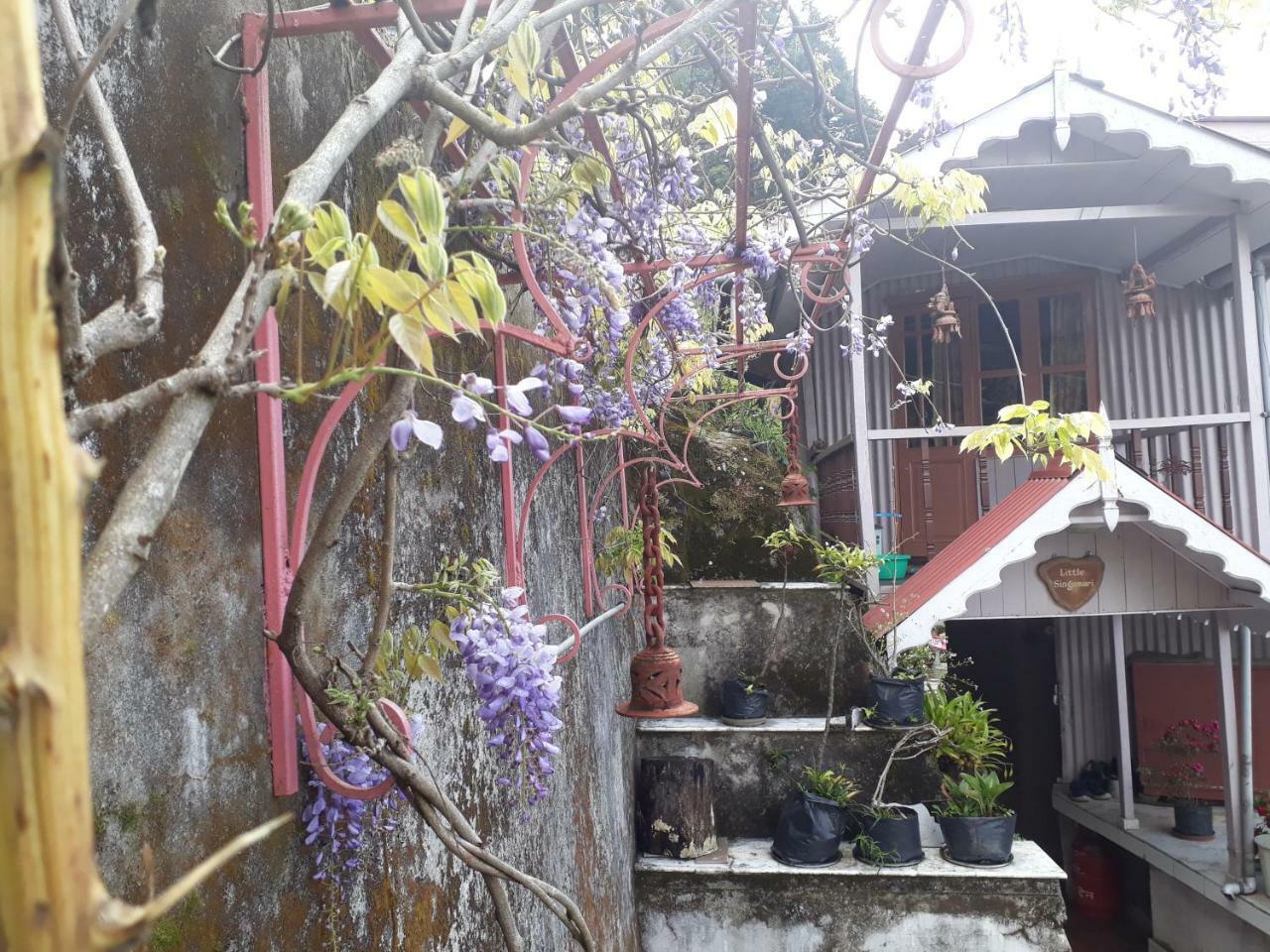 Little Singamari Home Stay Darjeeling  Extérieur photo