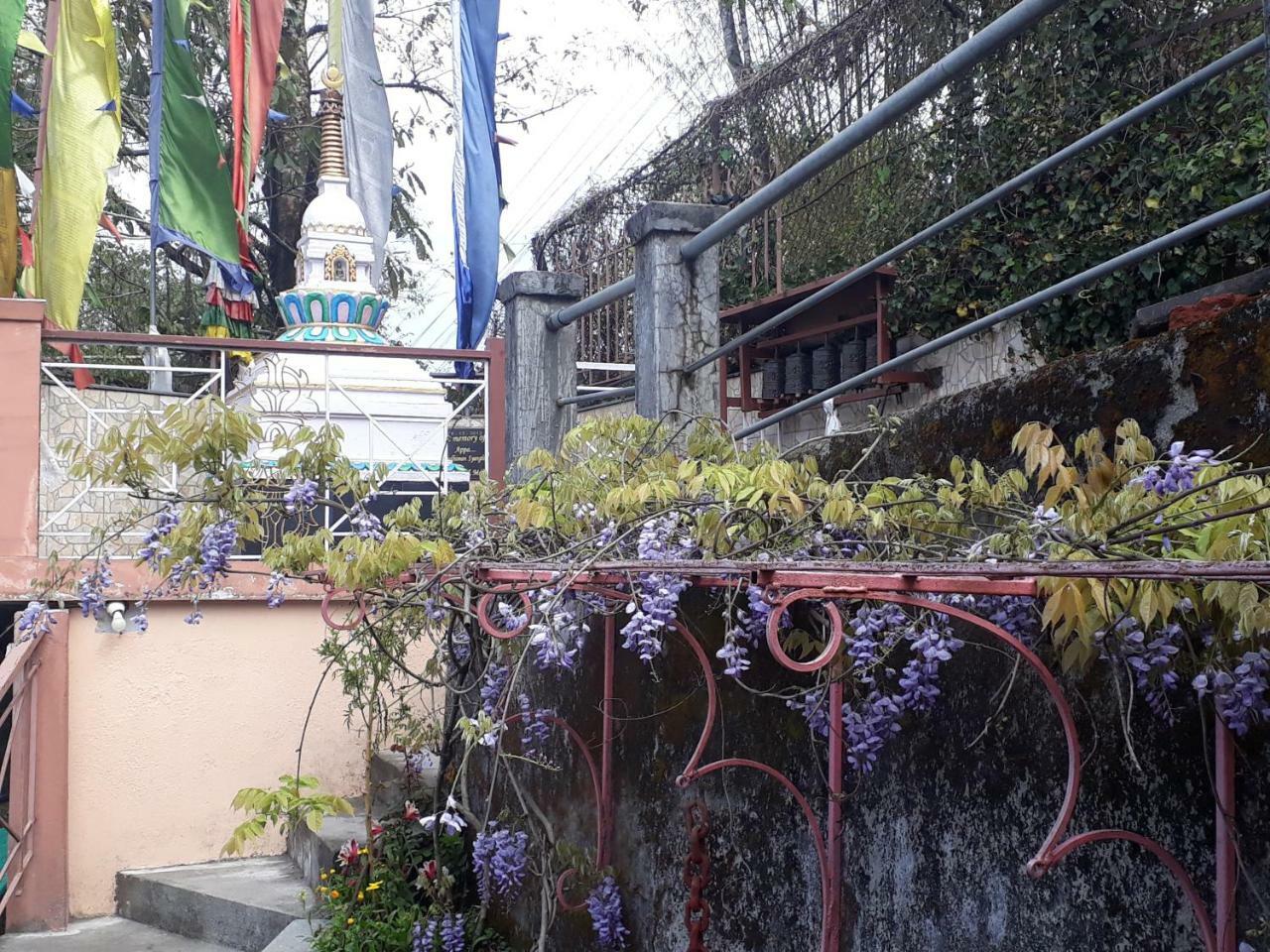 Little Singamari Home Stay Darjeeling  Extérieur photo