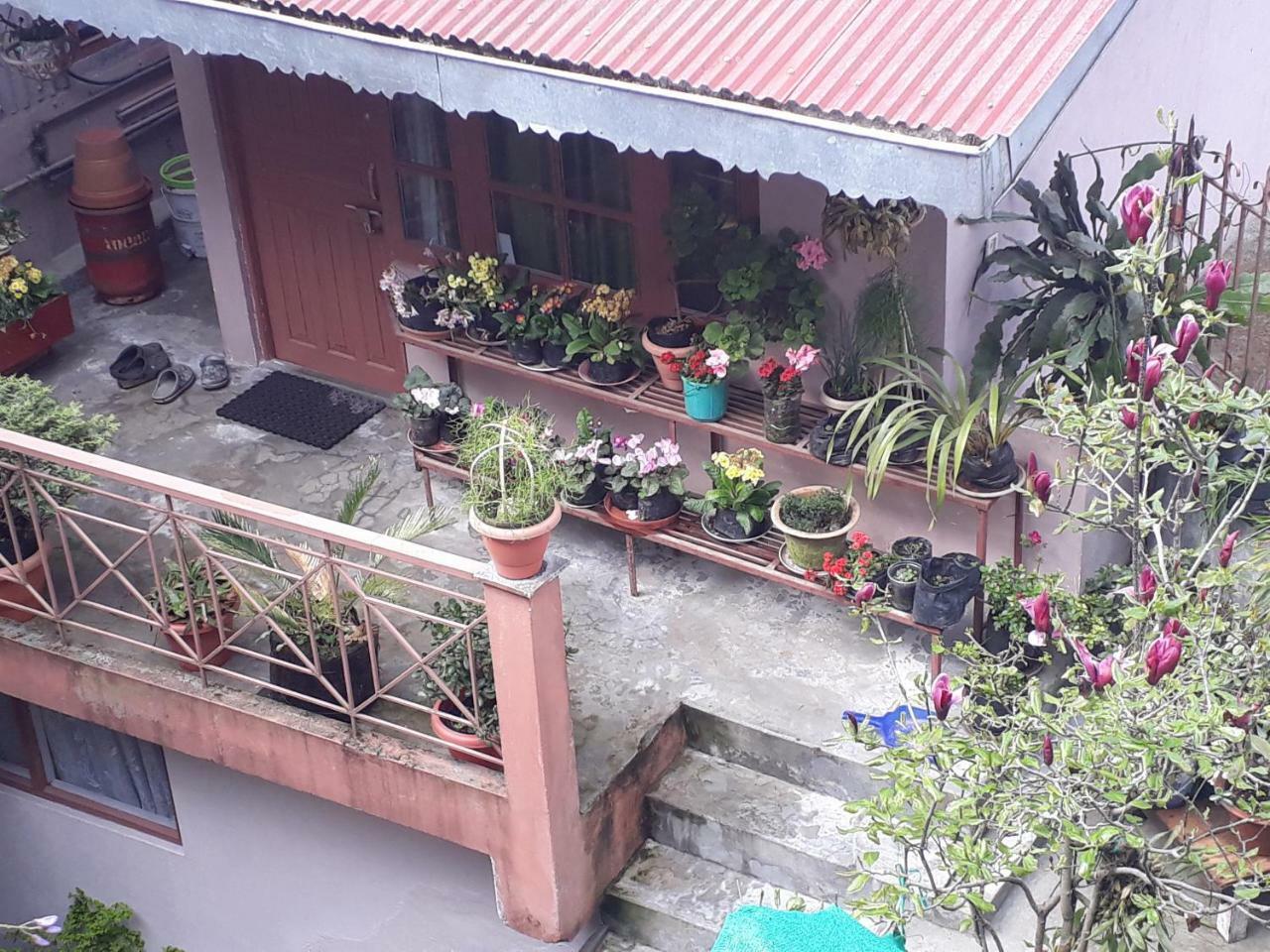 Little Singamari Home Stay Darjeeling  Extérieur photo