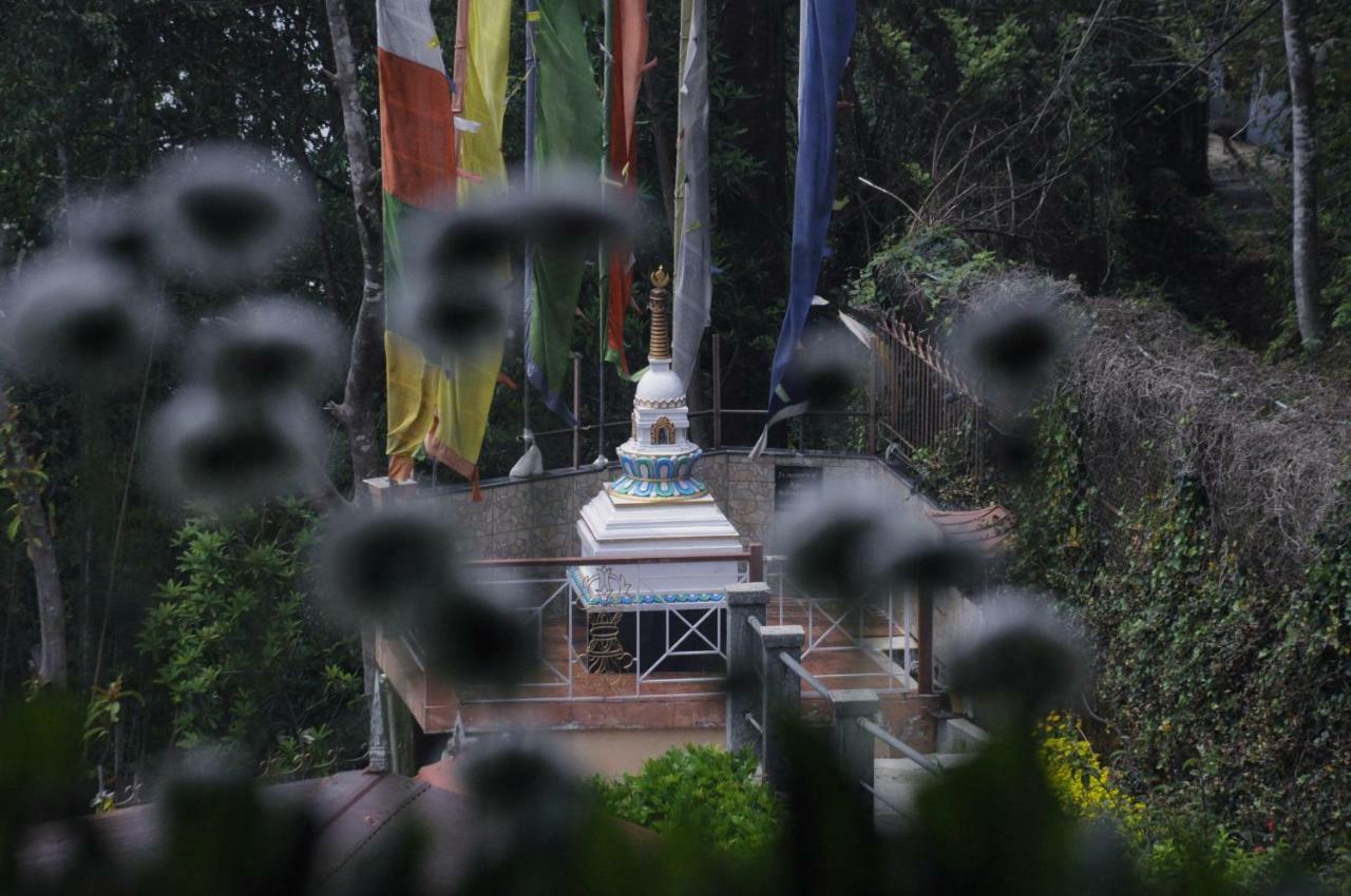Little Singamari Home Stay Darjeeling  Extérieur photo