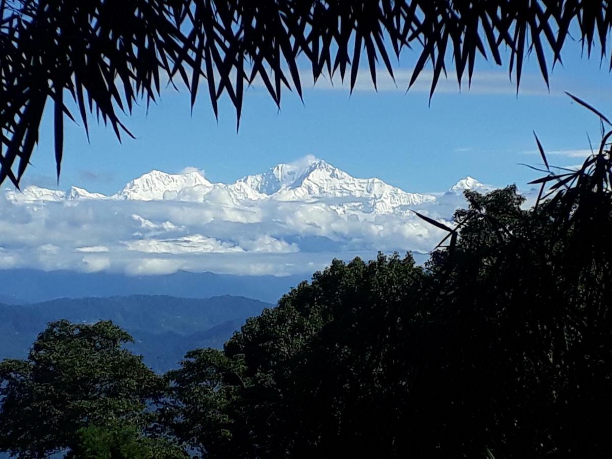 Little Singamari Home Stay Darjeeling  Extérieur photo
