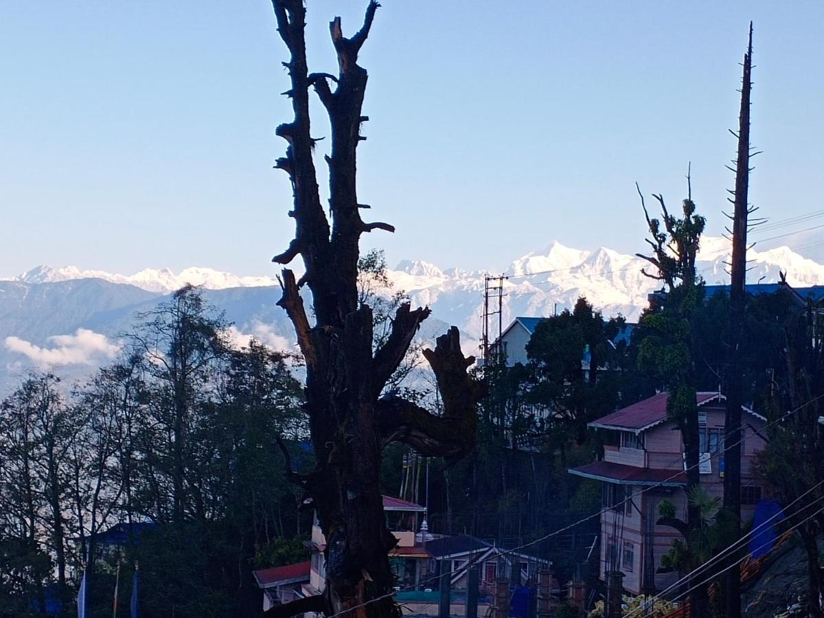 Little Singamari Home Stay Darjeeling  Extérieur photo